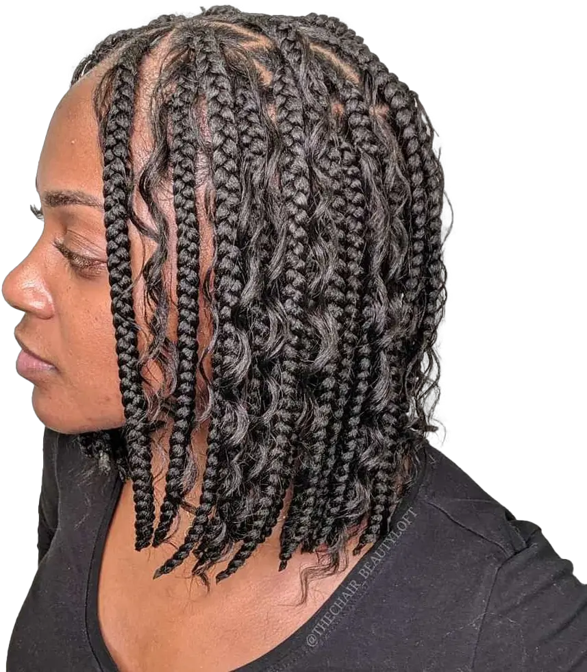  Braid Png Clipart Braids For Black Women Braid Png