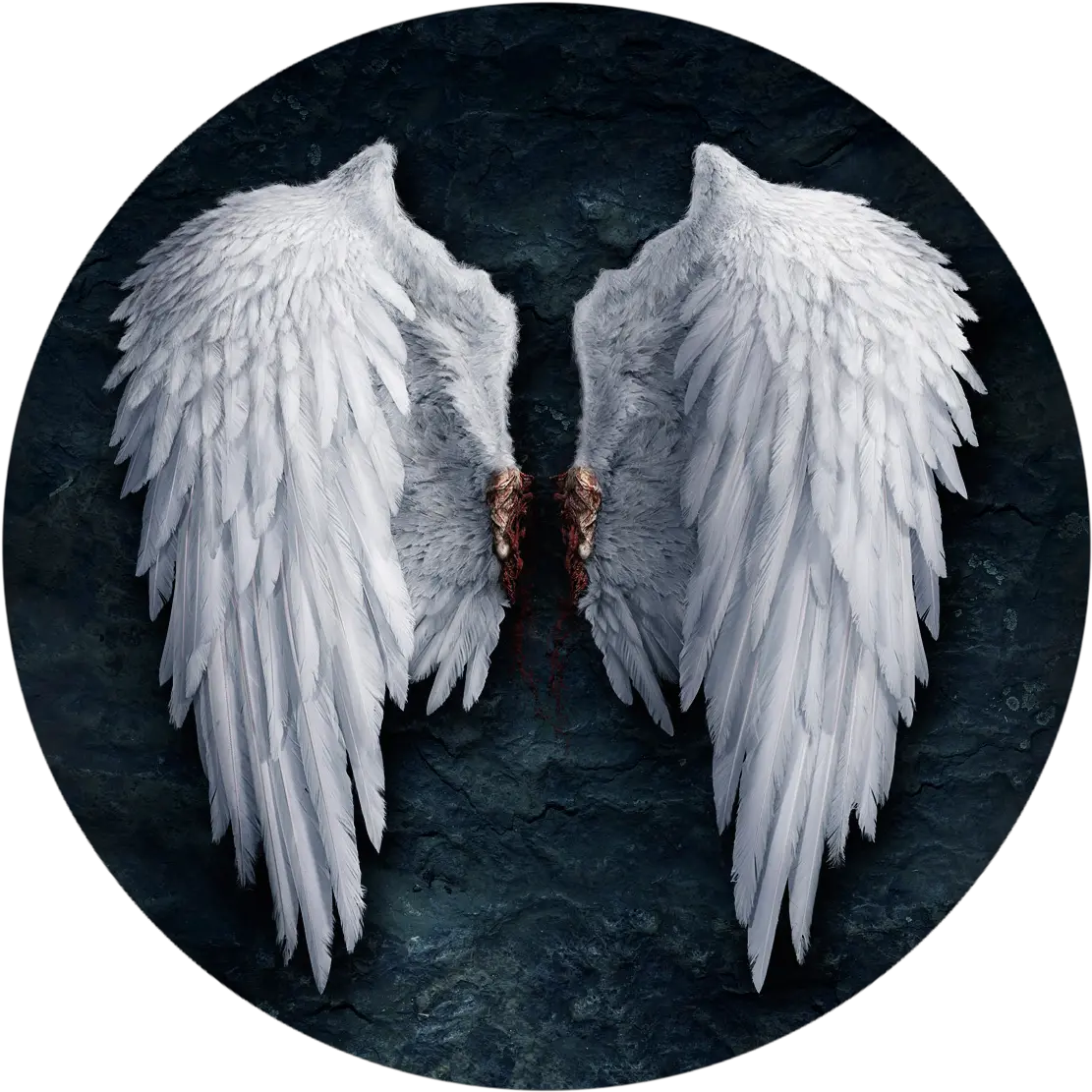  Lucifer Castiel Angel Wing Png File Lucifer Wings Wing Png