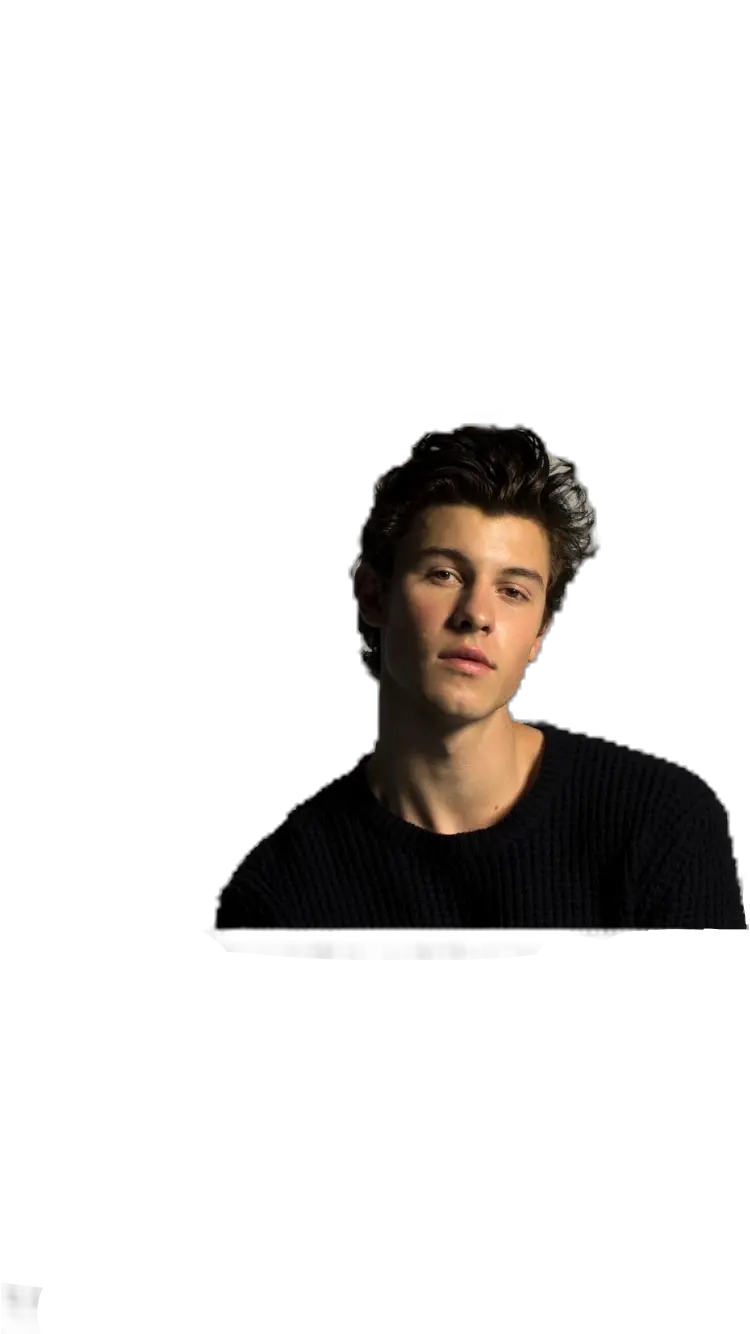  Sm3 Shawnmendes Mendesarmy Shawn Mendes Inmyblood Losti Shawn Mendes Transparent Png 2019 Shawn Mendes Png