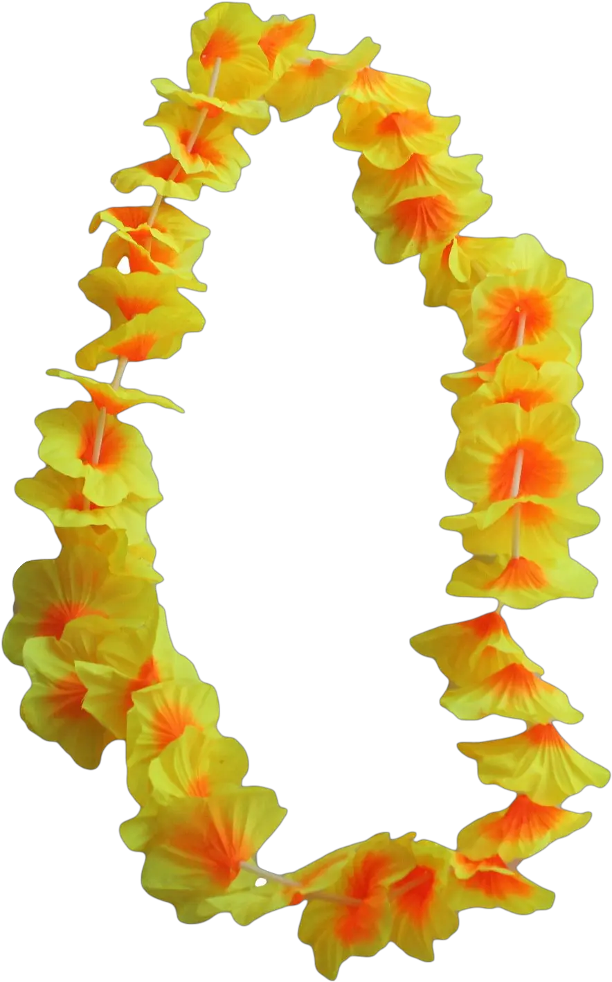  Download 12 X Hawaiian Flower Leis Transparent Hawaiian Leis Png Lei Png