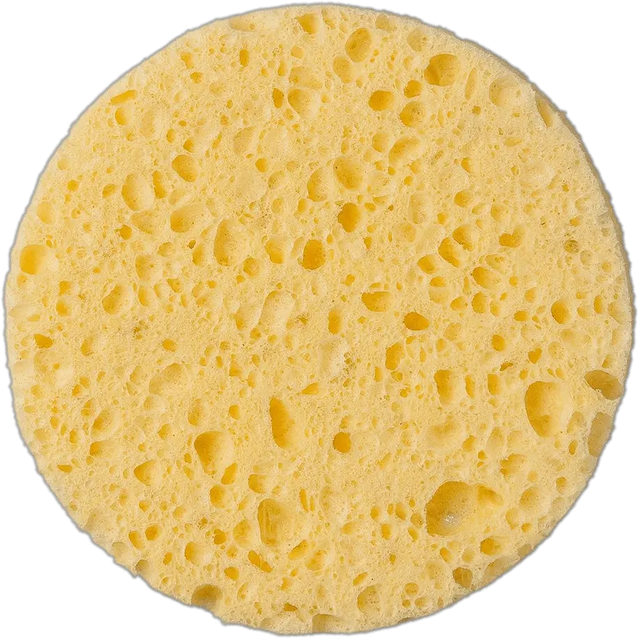  Round Sponge Transparent Png Sponge Sponge Png