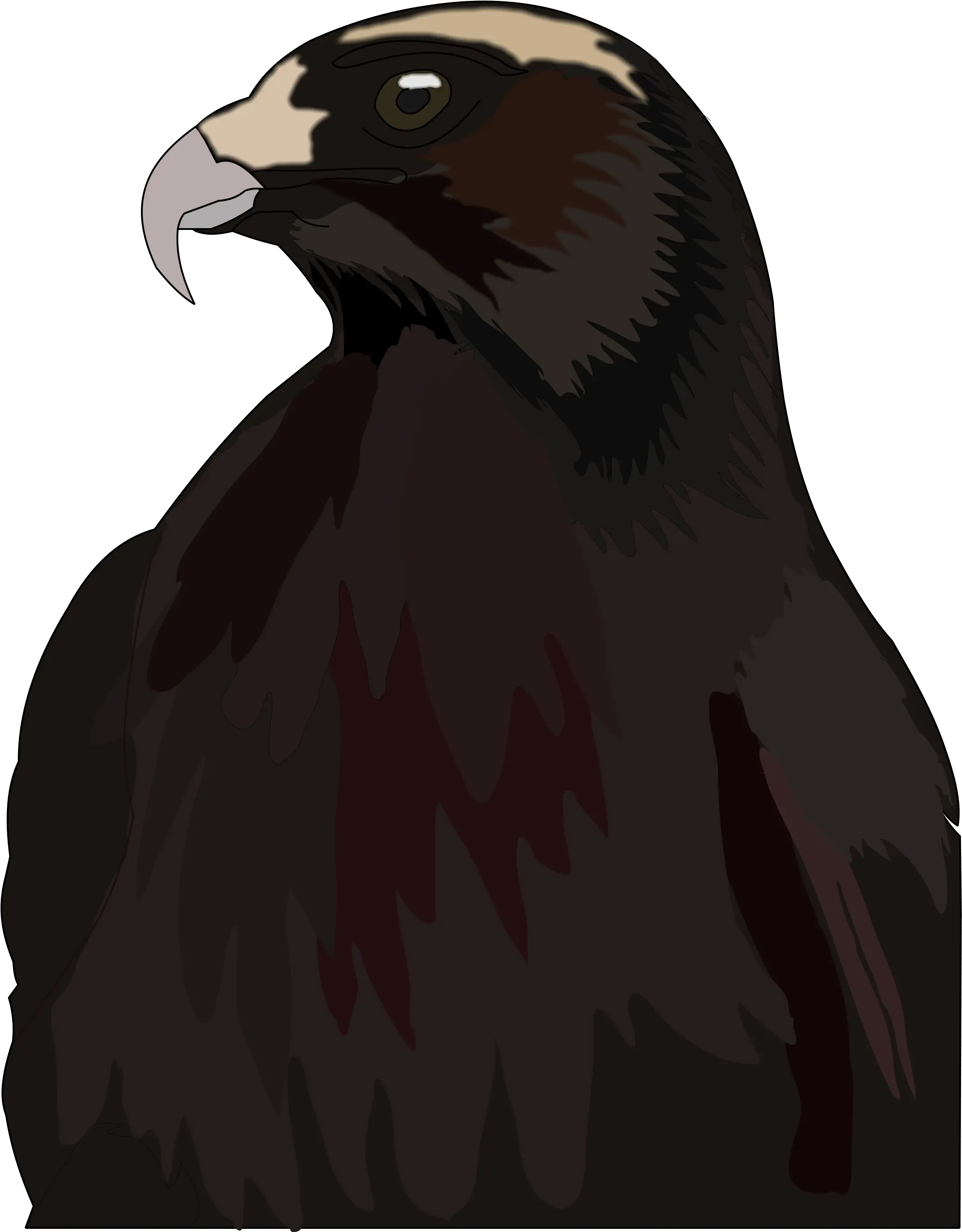  Red Falcon Png Hawk Png