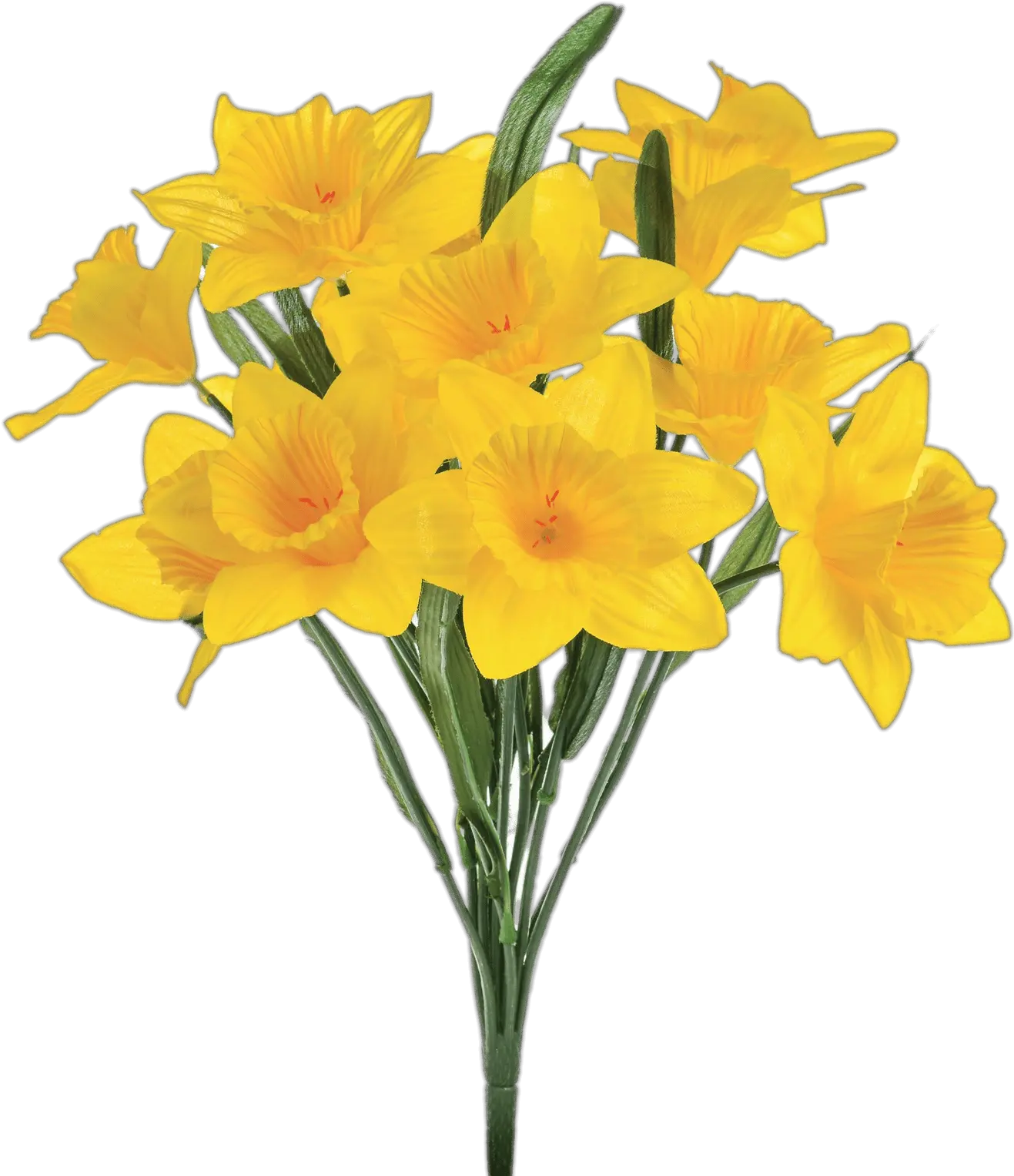  Artificial Daffodils Transparent Png Transparent Background Daffodil Transparent Daffodil Png