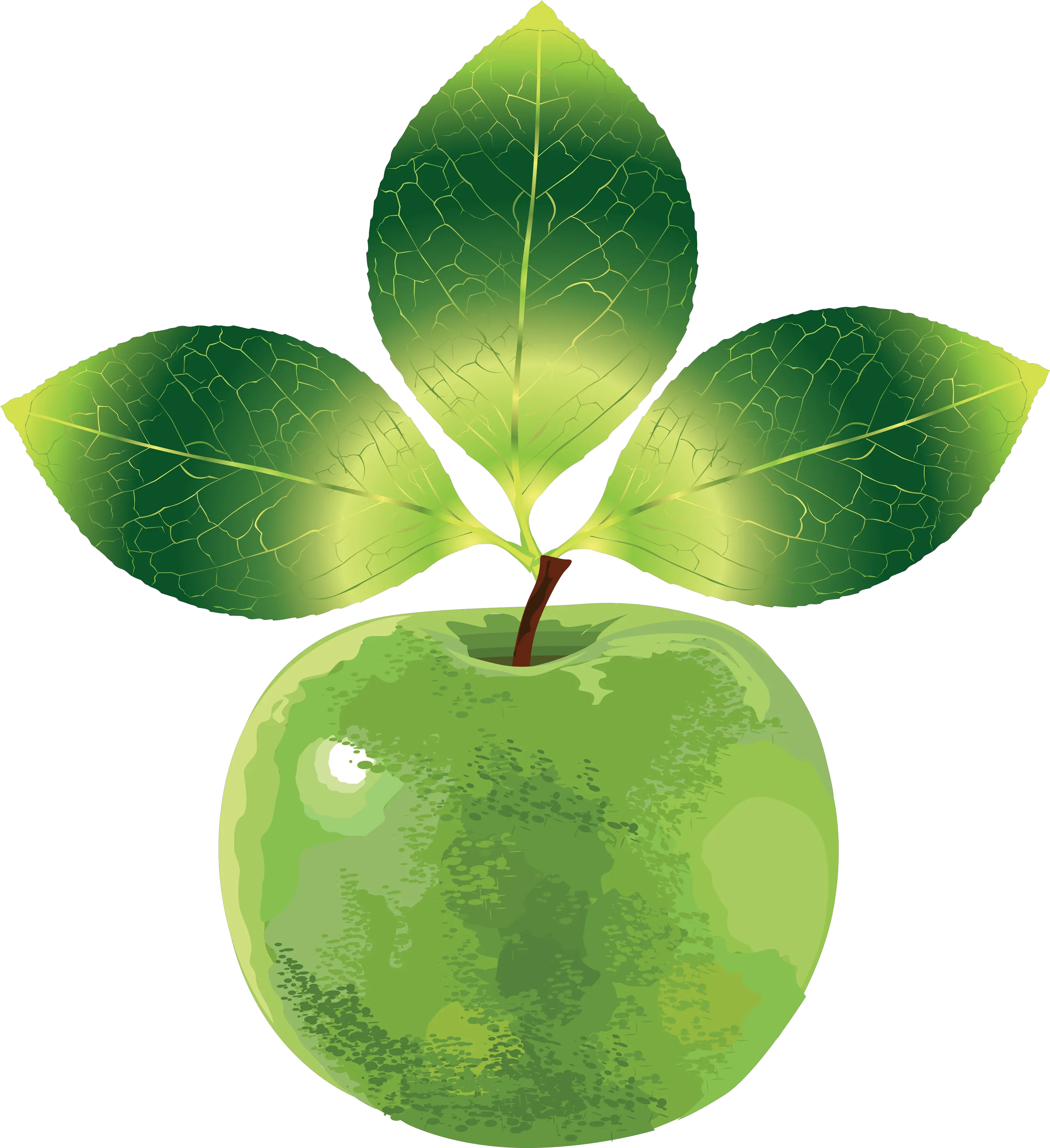  Download Green Appleu0027s Png Image For Free Clip Art Apples Transparent Background