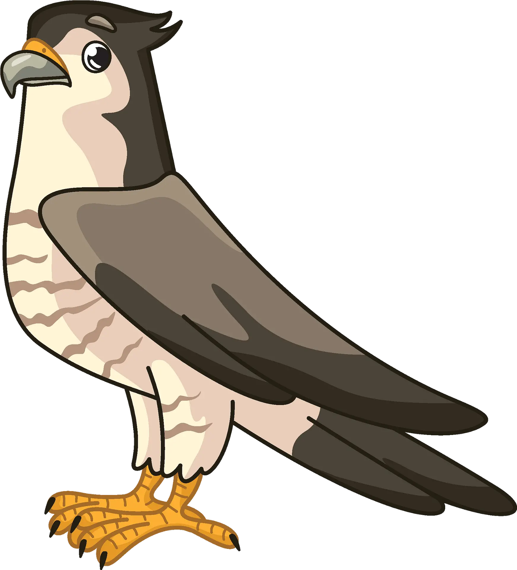  Clipart Falcon Clipart Png Falcon Transparent