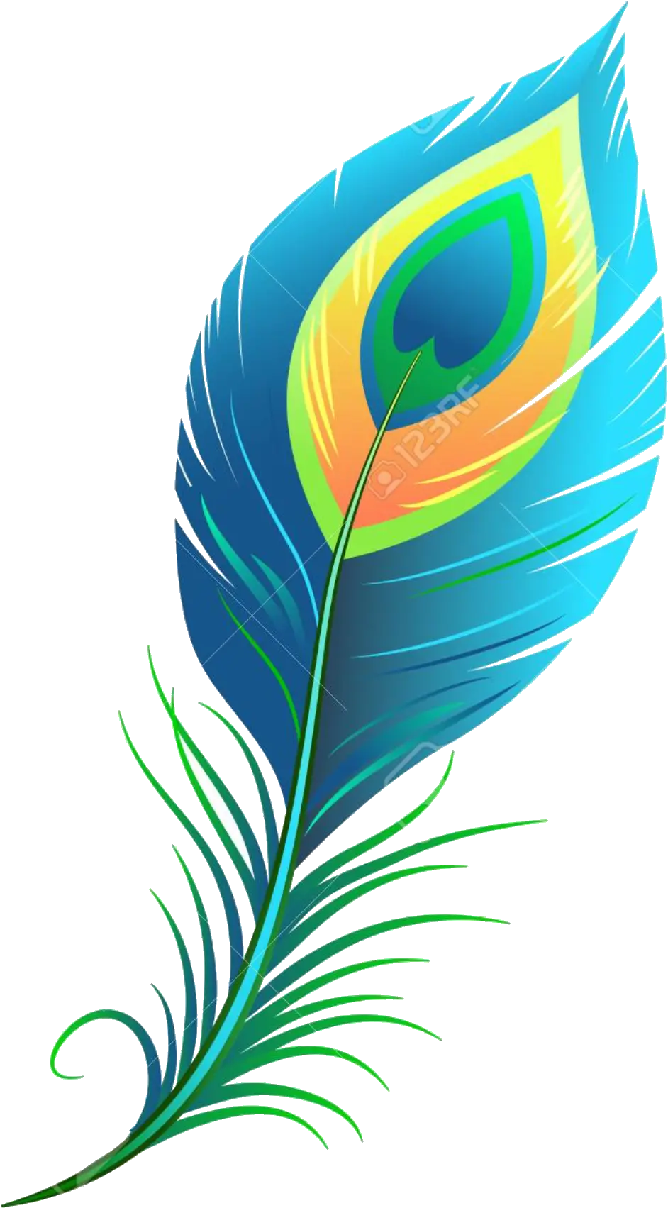  Peacock Feathers Clipart Single Peacock Feather Clipart Png Feather Drawing Png