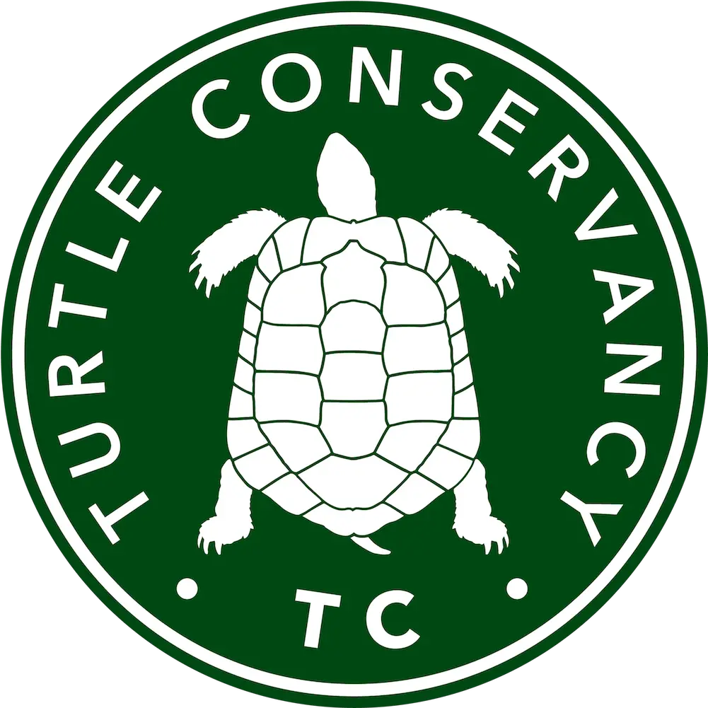  Turtle Conservancy U2014 Turtles In Trouble Turtle Conservancy Png Tortoise Png