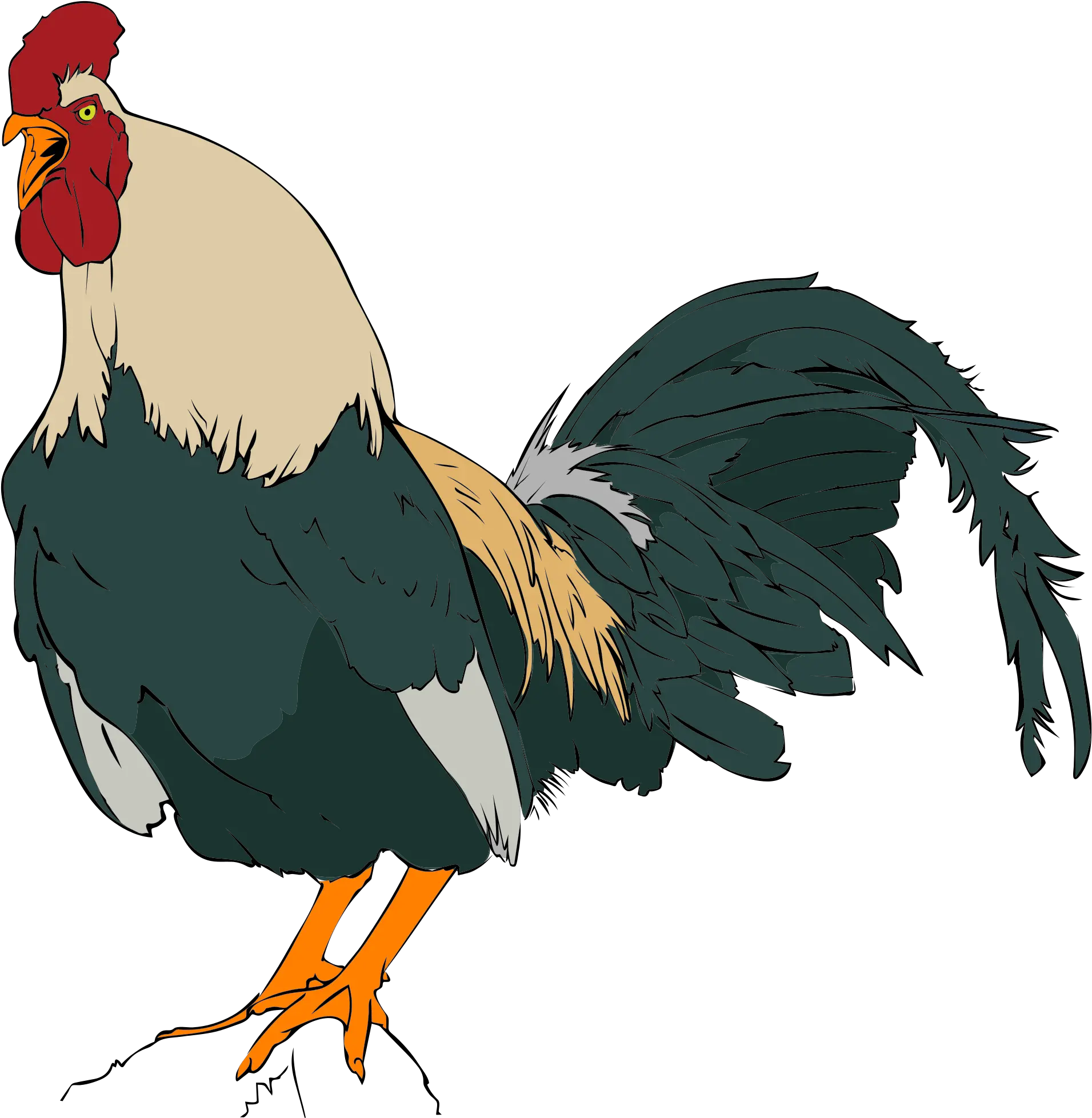  Rooster Clipart 01 Rooster Clip Art Png Rooster Png