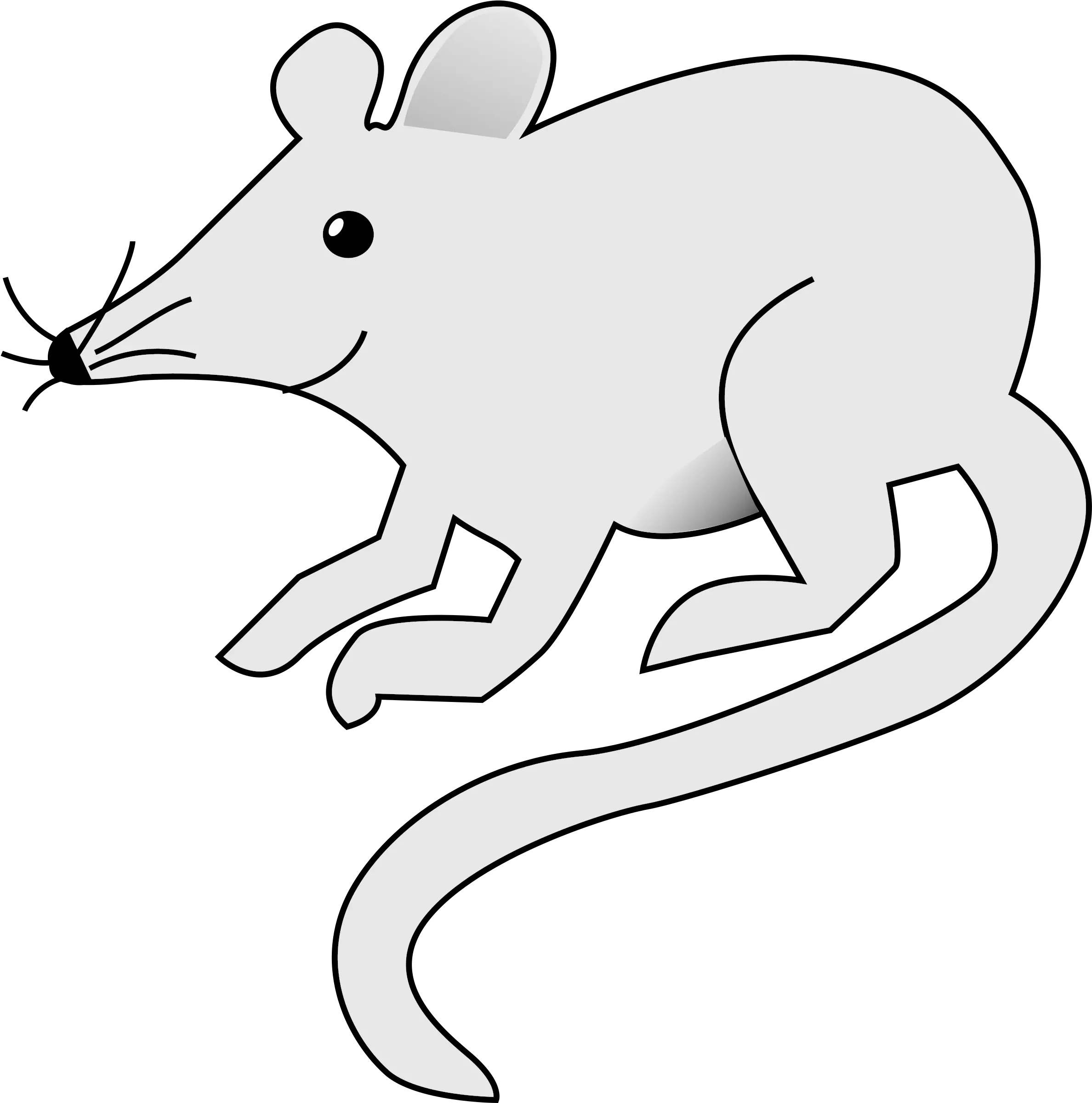  White Stock Rat Transparent Frames Mouse Clip Art Png Rat Transparent