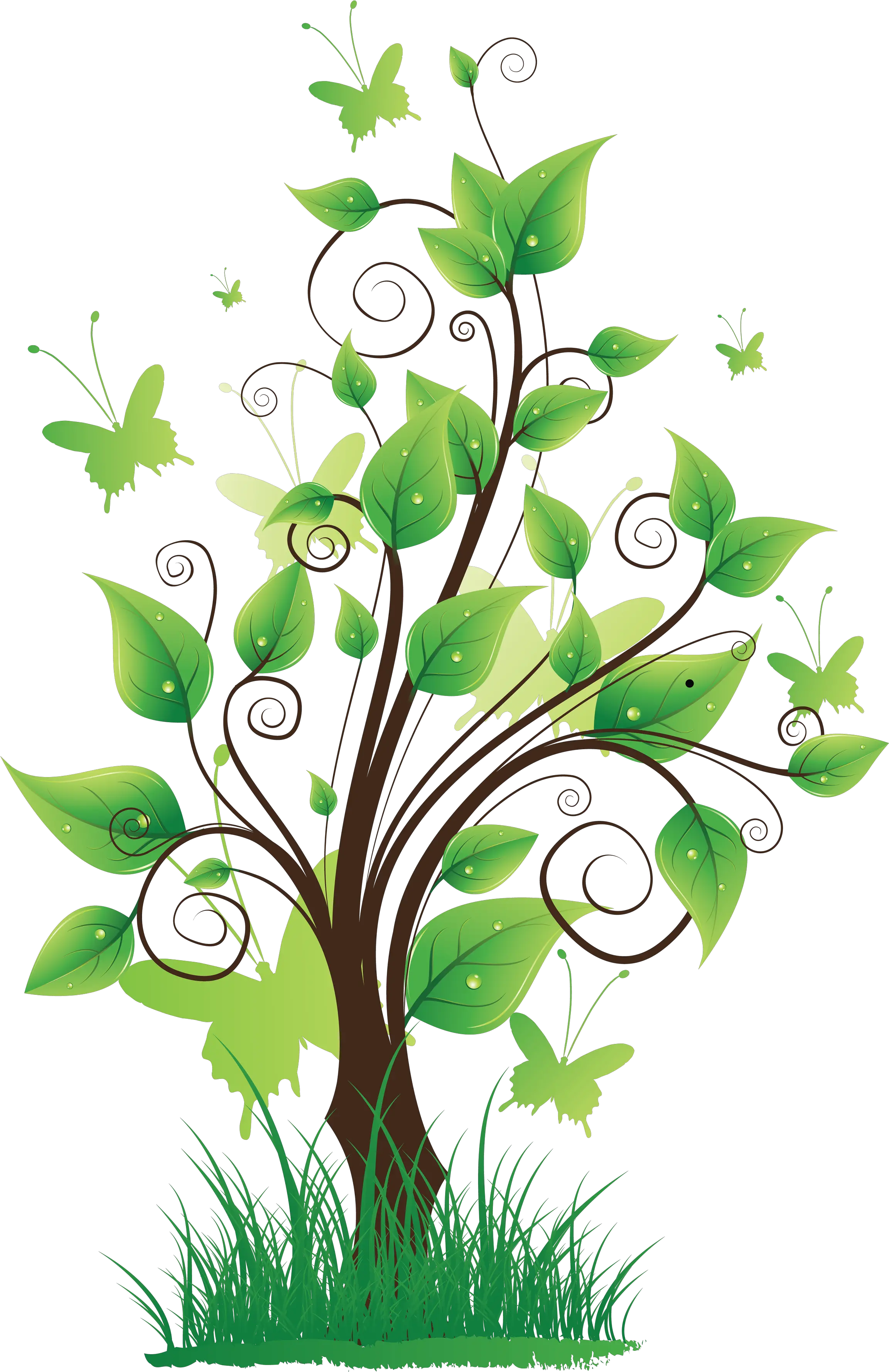  40 Tree Png Images Are Free To Download Nature Tree Background Design Nature Png