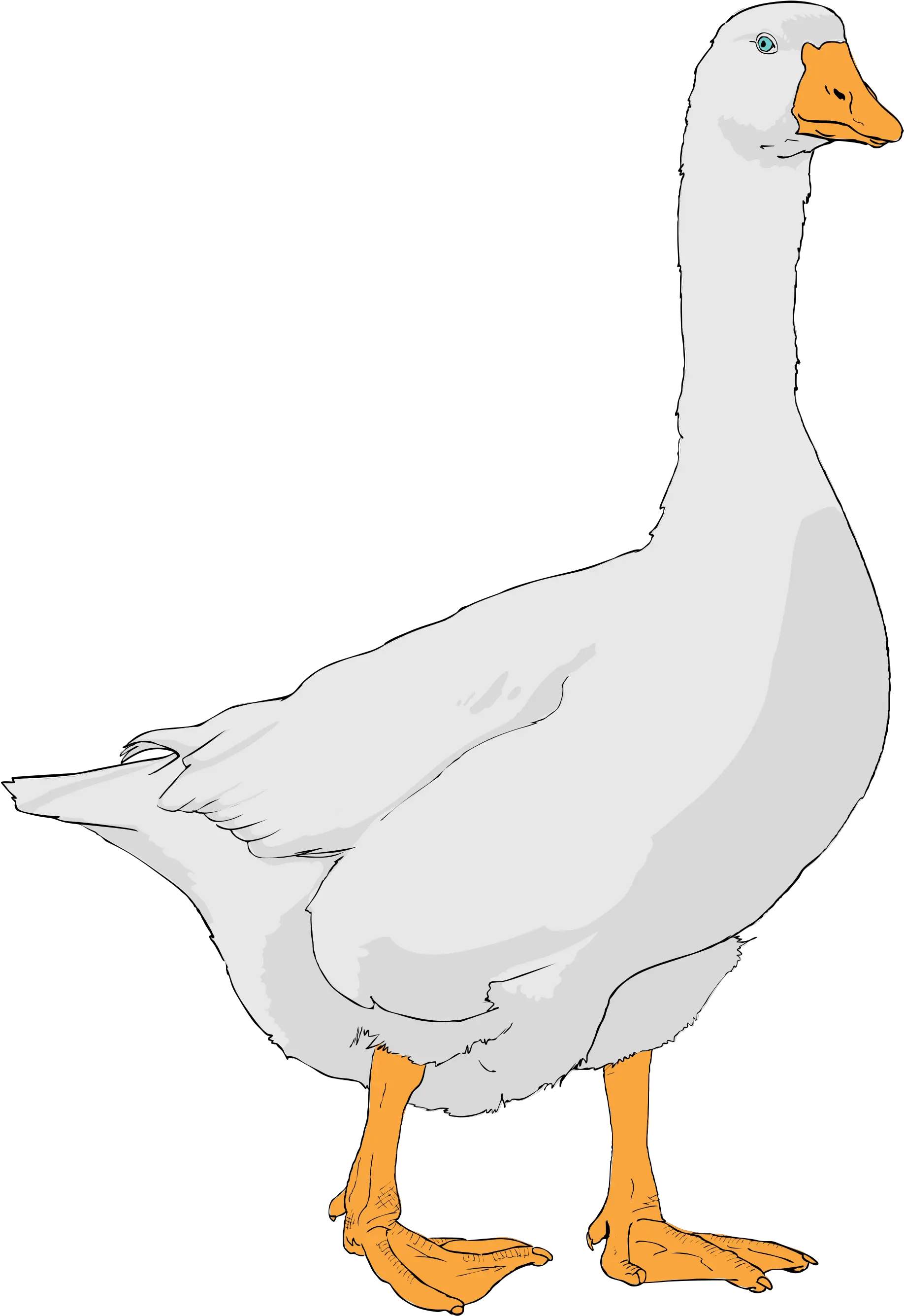  Goose Png Transparent Clipart Image Goose Clipart Goose Png