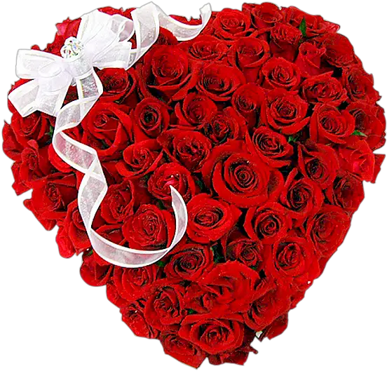  100 Roses Heart Happy Day Gifts Png Rose Heart Png