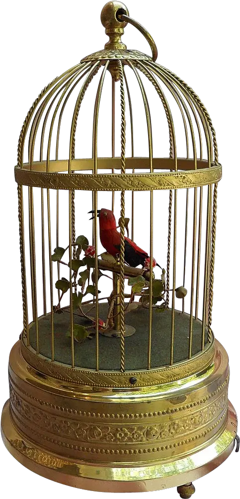  Cage Transparent Parrot Bird In Cage Transparent Png Cage Transparent