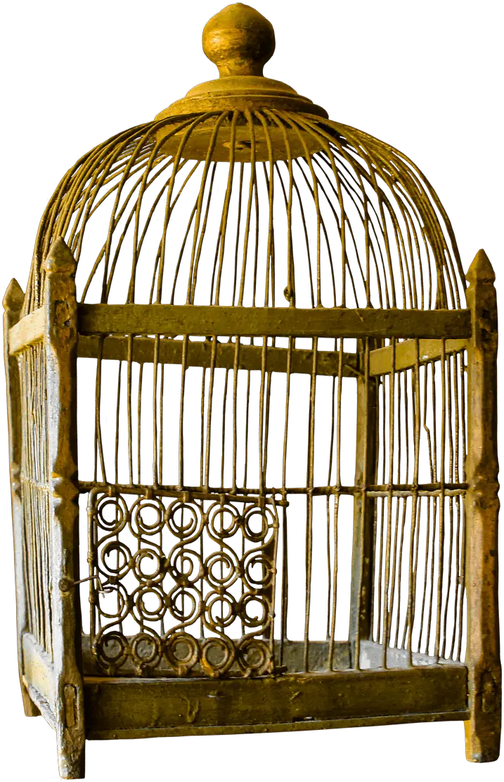  Bird Cage Transparent Png Cat And A Bird Cage Cage Transparent