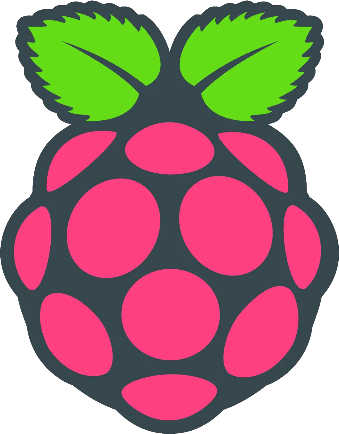  Raspberry Pi Icon Of Flat Style Raspberry Pi Icon Png Pi Png