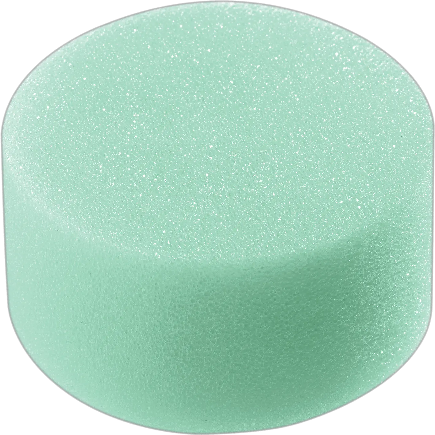  Download Round Sponge Png Image With No Circle Sponge Png