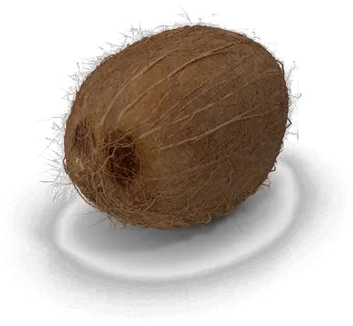  Coconut Png Image Hd Wood Coconut Png