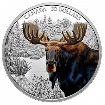  Imposing Icons Moose 2oz Canadian Mint Moose Coin Png Rey Star Wars Icon