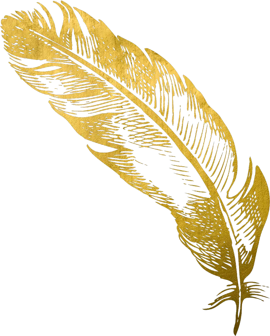  Cropped Goldfeatherpng Card Snobs Transparent Gold Feather Png Quill Pen Png