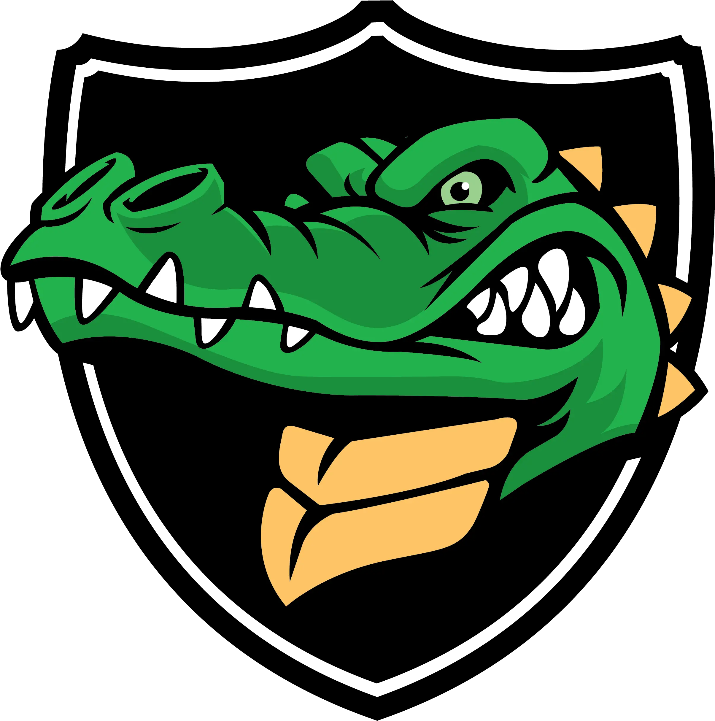  Gutter Gator Reviews Myrtle Beach Sc Angi Png Gator Icon