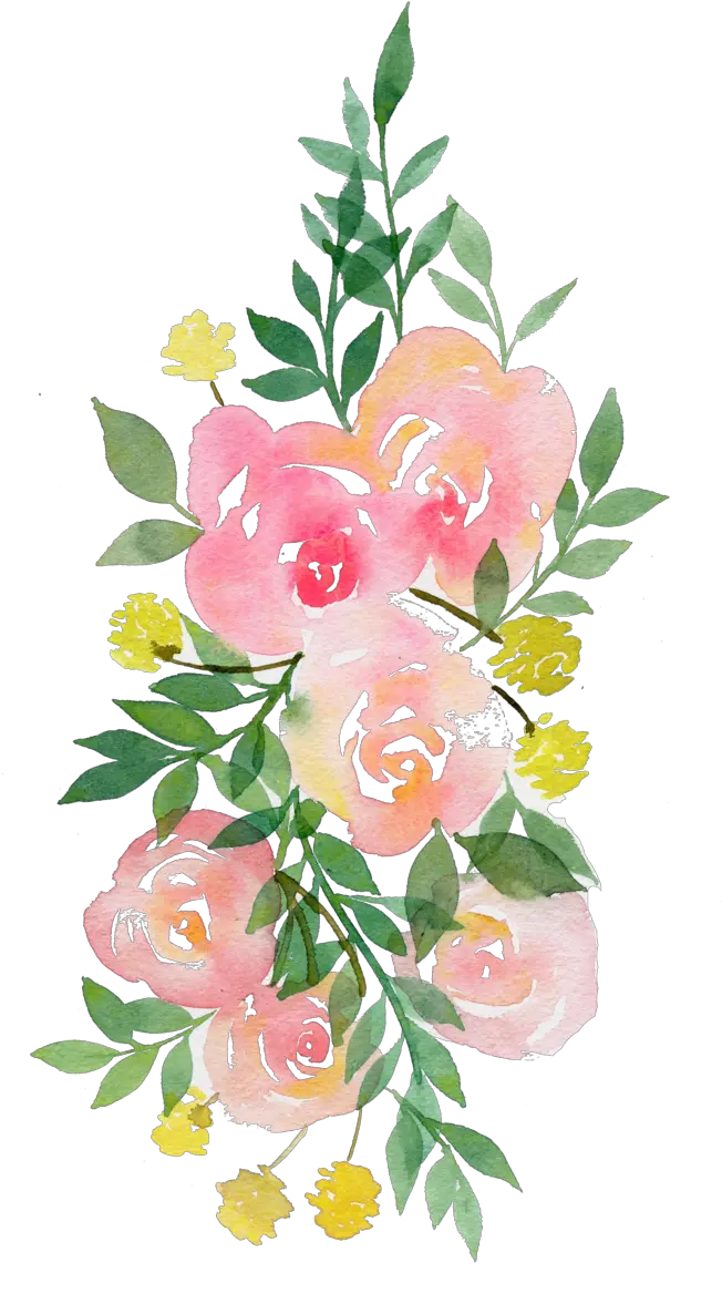  Peonies Drawing 2000444148 Aljanhnet Fascinating Pink Watercolor Flowers Transparent Png Peonies Png