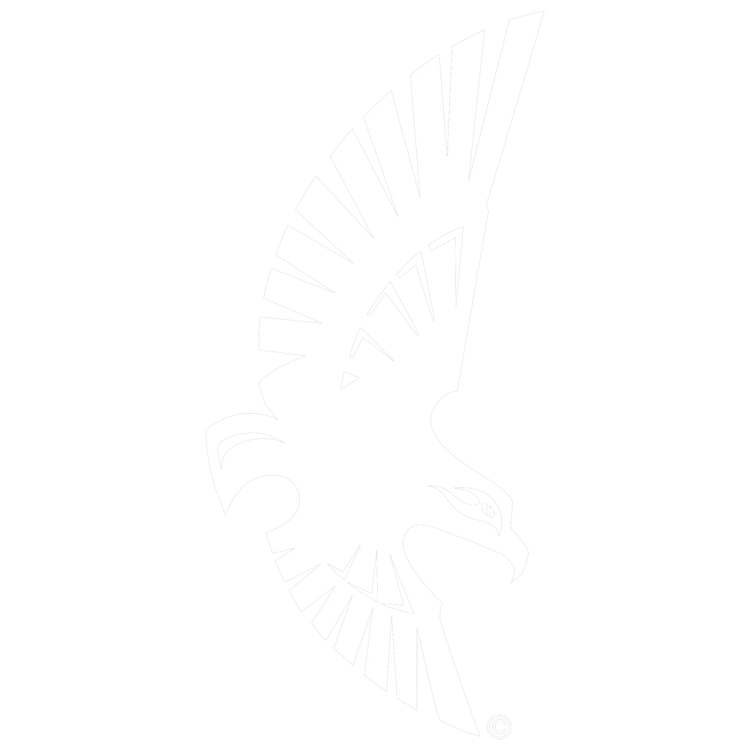  Uncw Soaring Seahawk Logo Black And Illustration Png Seahawk Logo Png