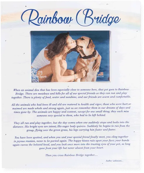  Pallet Box Wood Frame Rainbow Bridge International Kissing Day Png Friends Frame Png