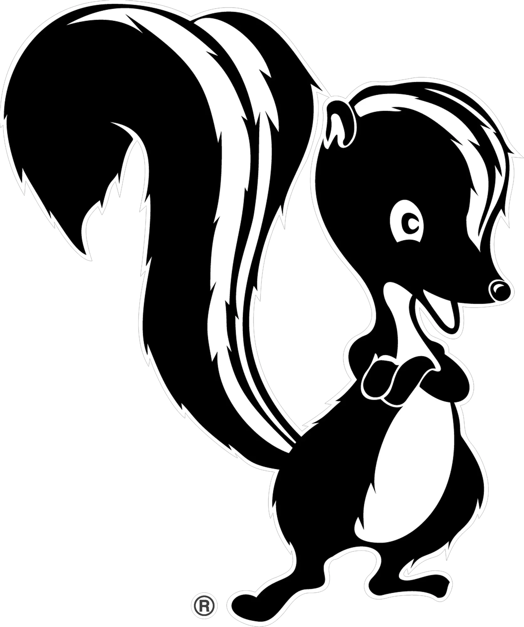  Anatomy Of A Skunk Lockheed Martin Skunk Works Png Skunk Transparent