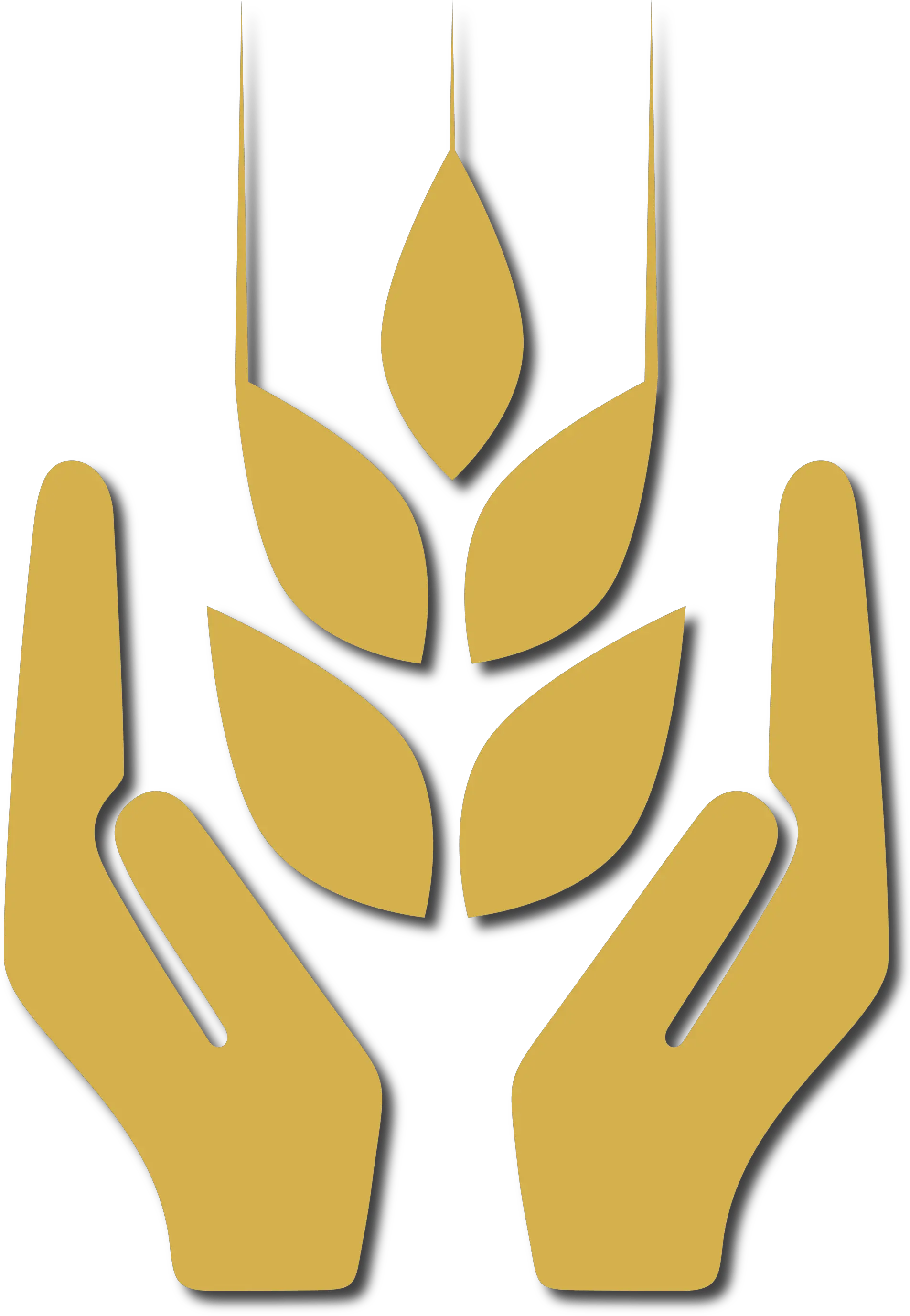  Sas Consulting Is An Independent Applied Farming Consultant Language Png Sas Icon