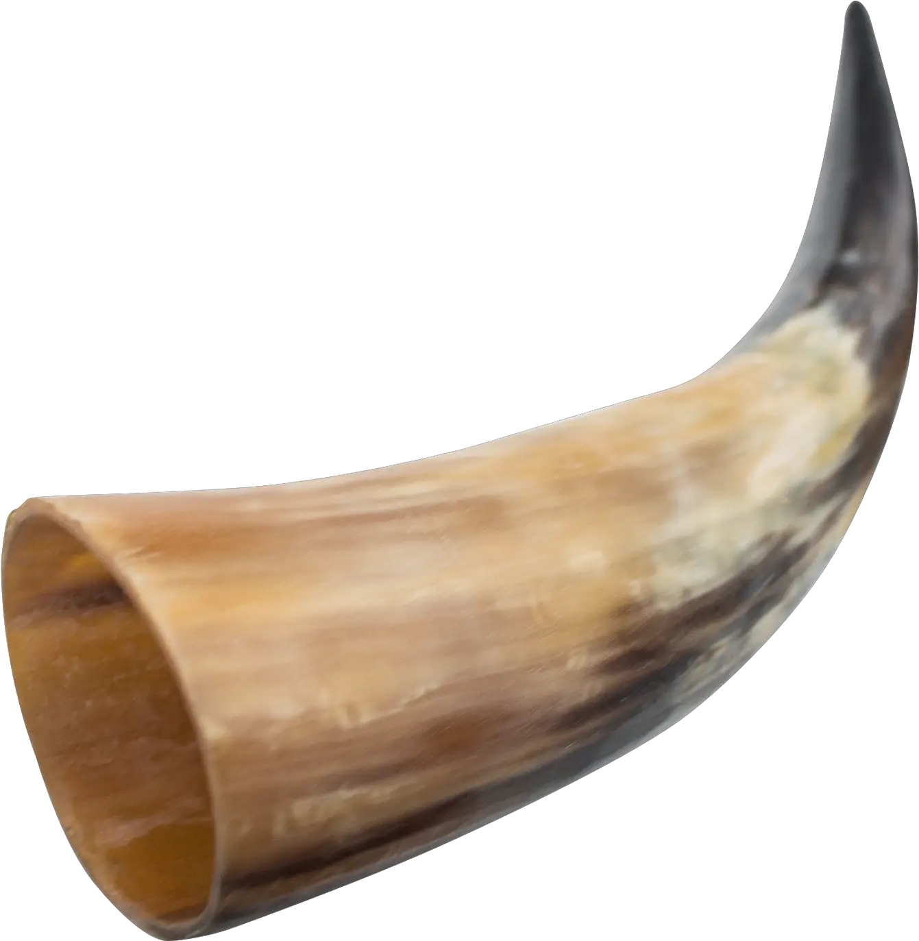  Viking Horn Png Viking Horn Png Horn Png