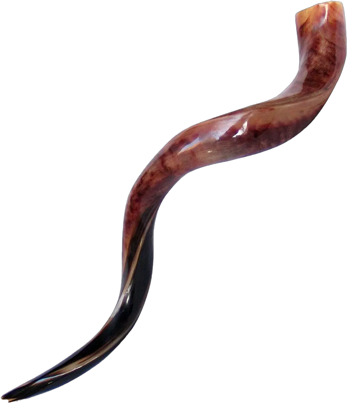  Shofar Horn Png Clipart Transparent Shofar Clipart Horn Png