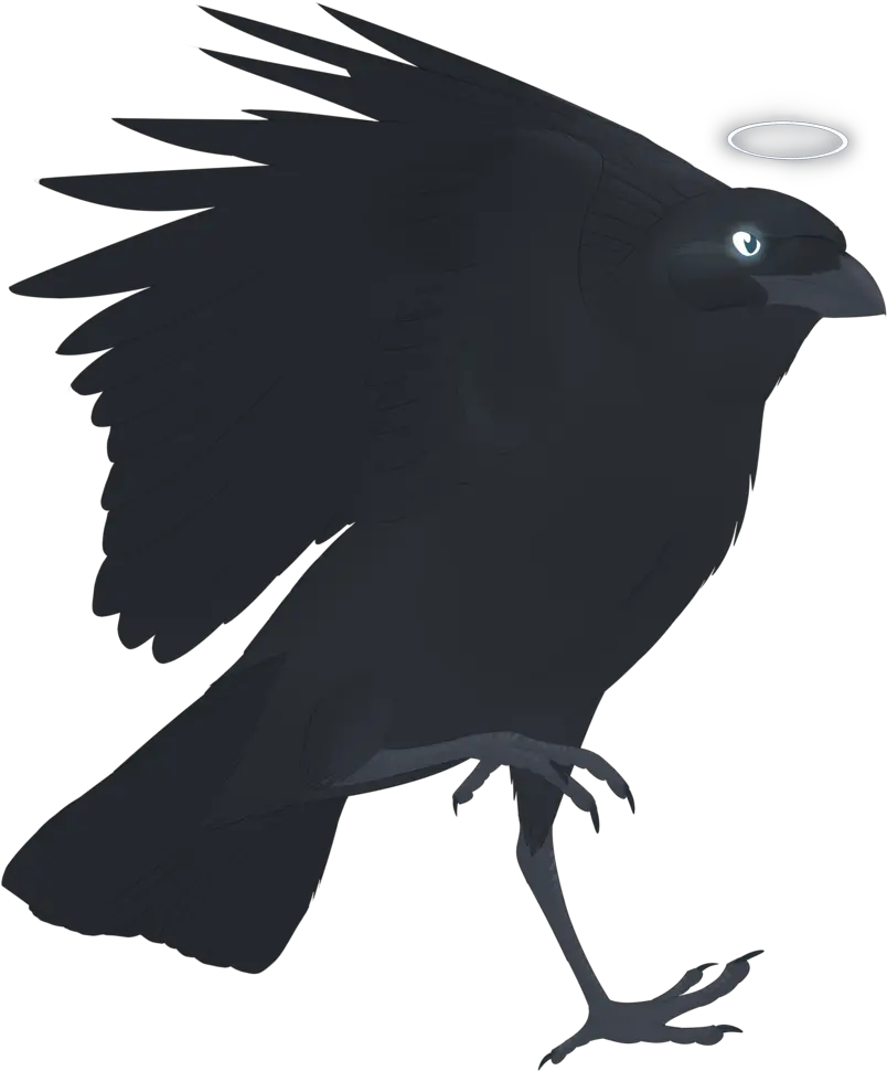  Crow Drawing Pictures Free Download Raven Png Raven Silhouette Png