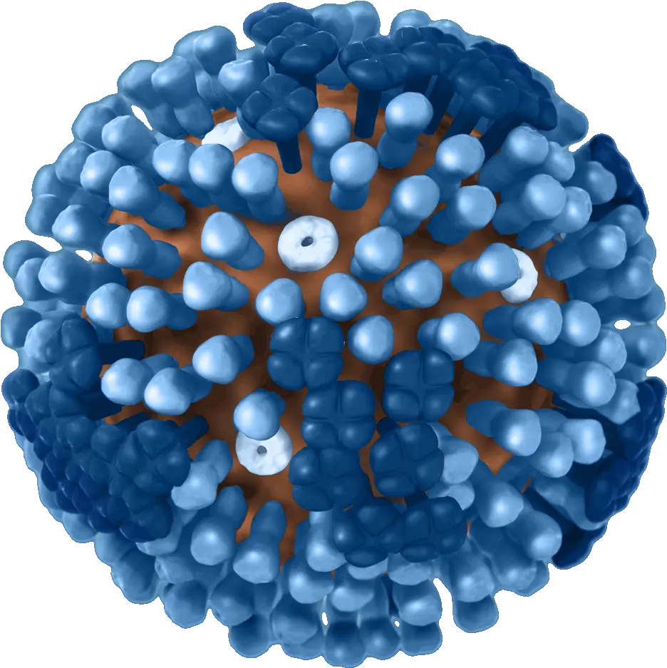  Virus Cold Transparent Png Clipart Swine Flu Virus Gif Virus Transparent