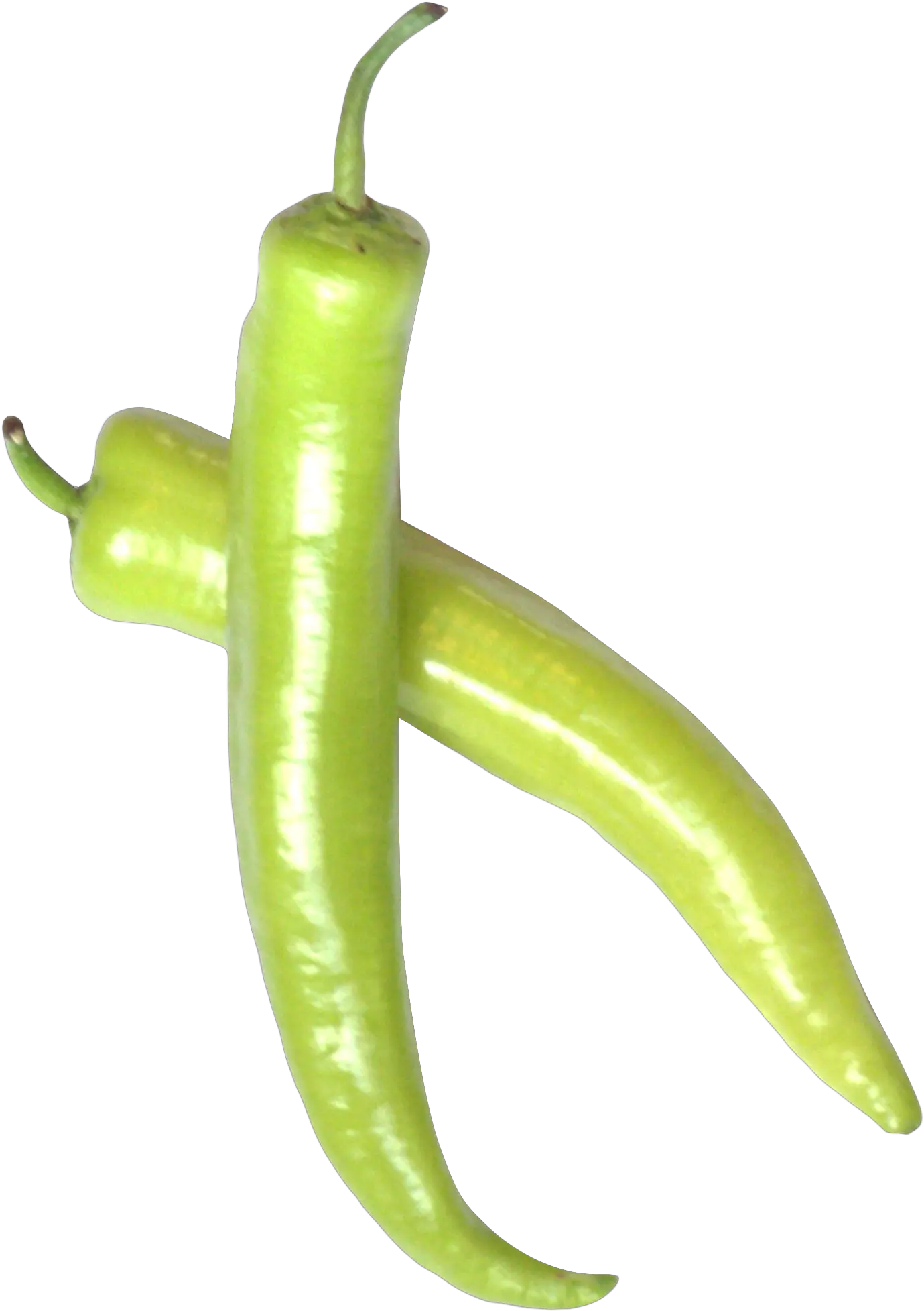  Download Green Chili Pepper Png Image