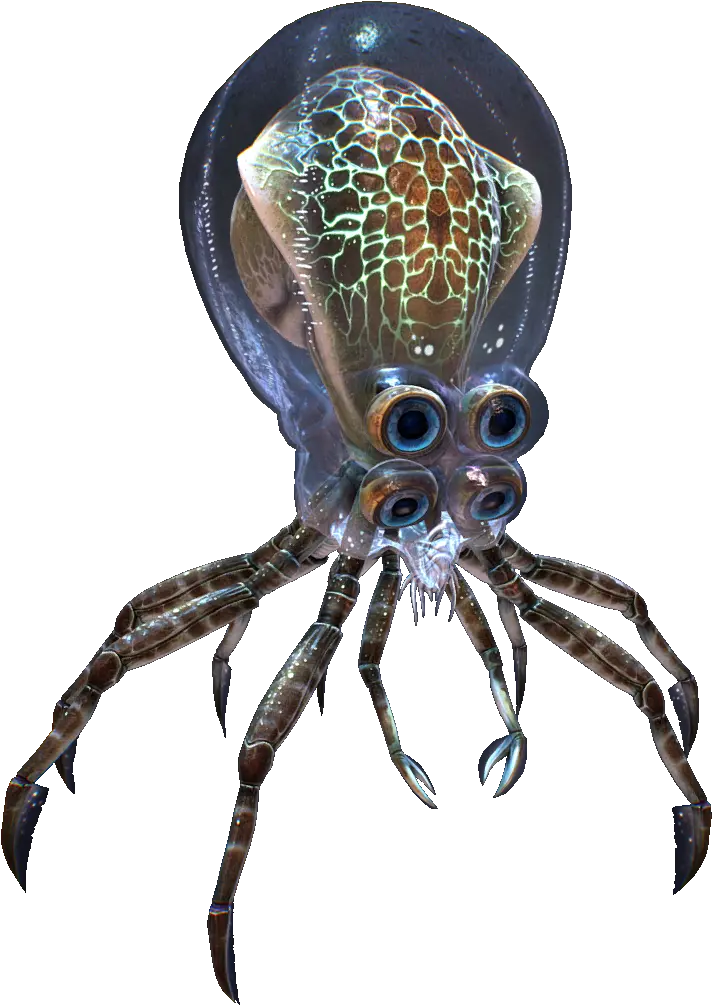  Crabsquid Subnautica Wiki Fandom Subnautica Octopus Png Octopus Transparent