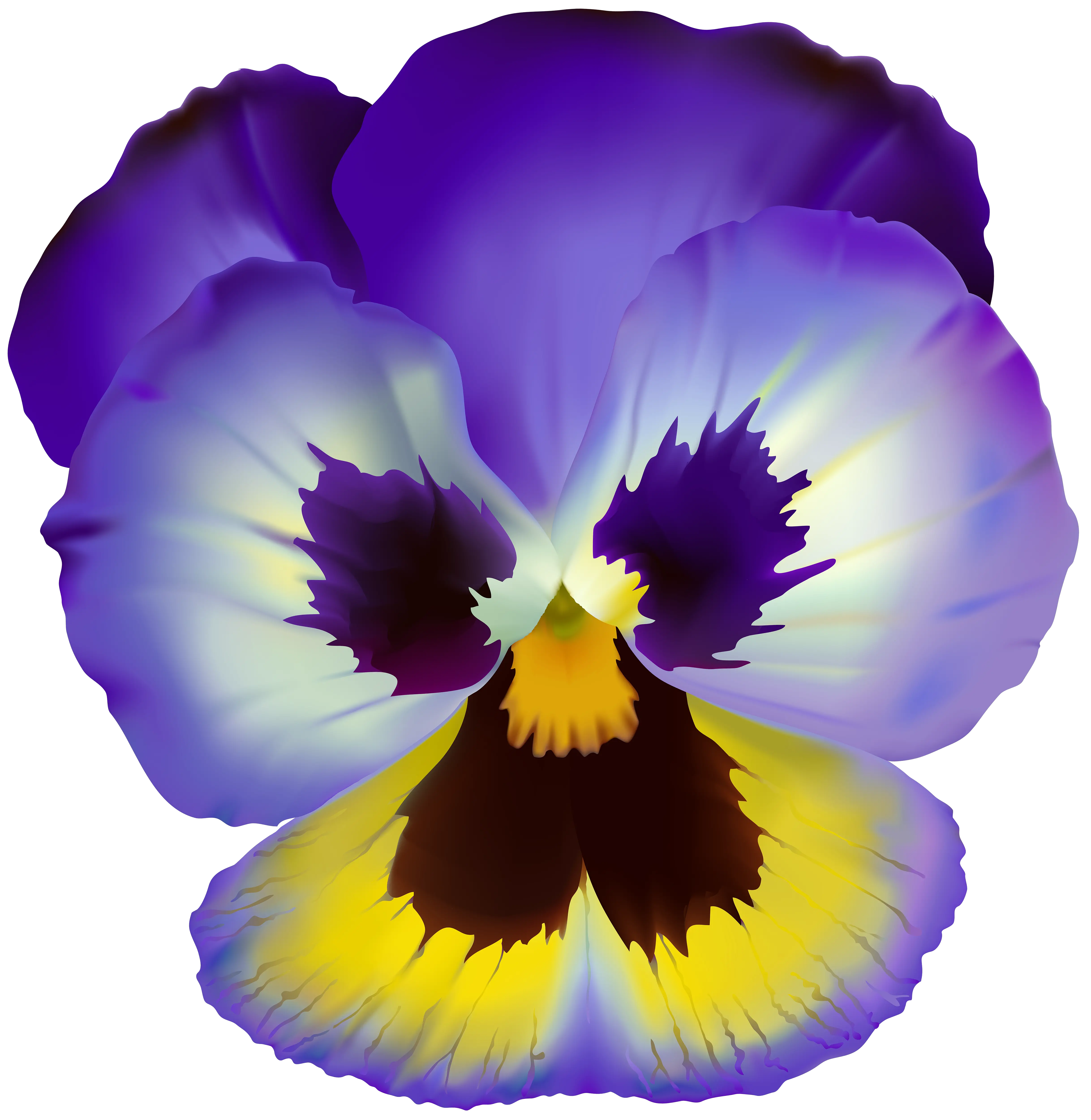  Violet Flower Transparent Clip Art Simple Flower Violet Drawing Png Clear Png