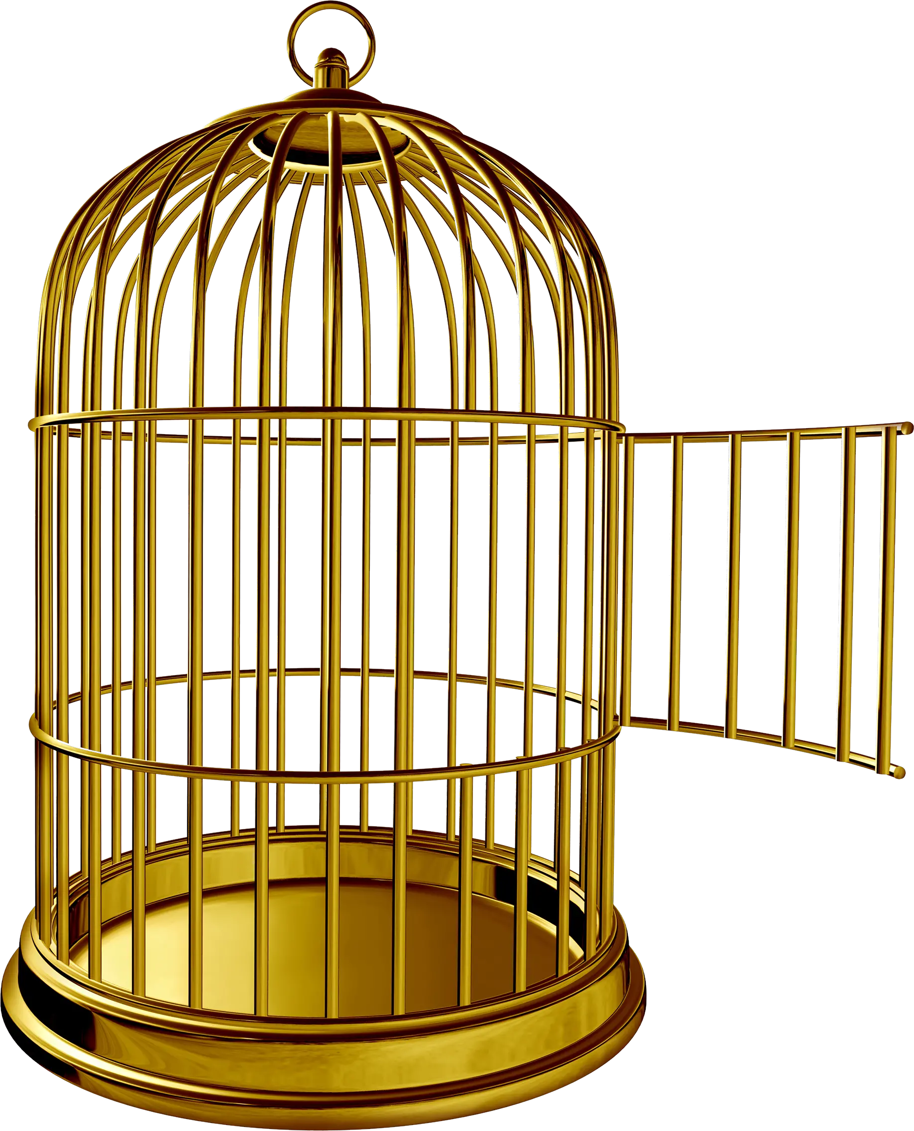  Golden Bird Cage Png Image Deekshabhoomi Cage Png