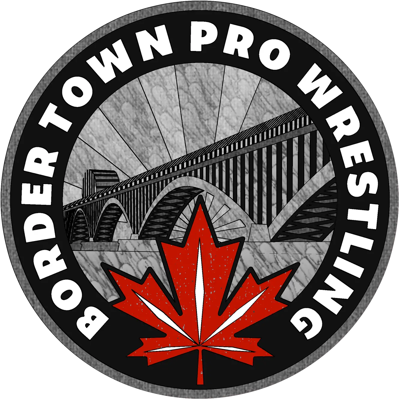  About Us Bordertown Wrestling Png Pro Wrestling Icon