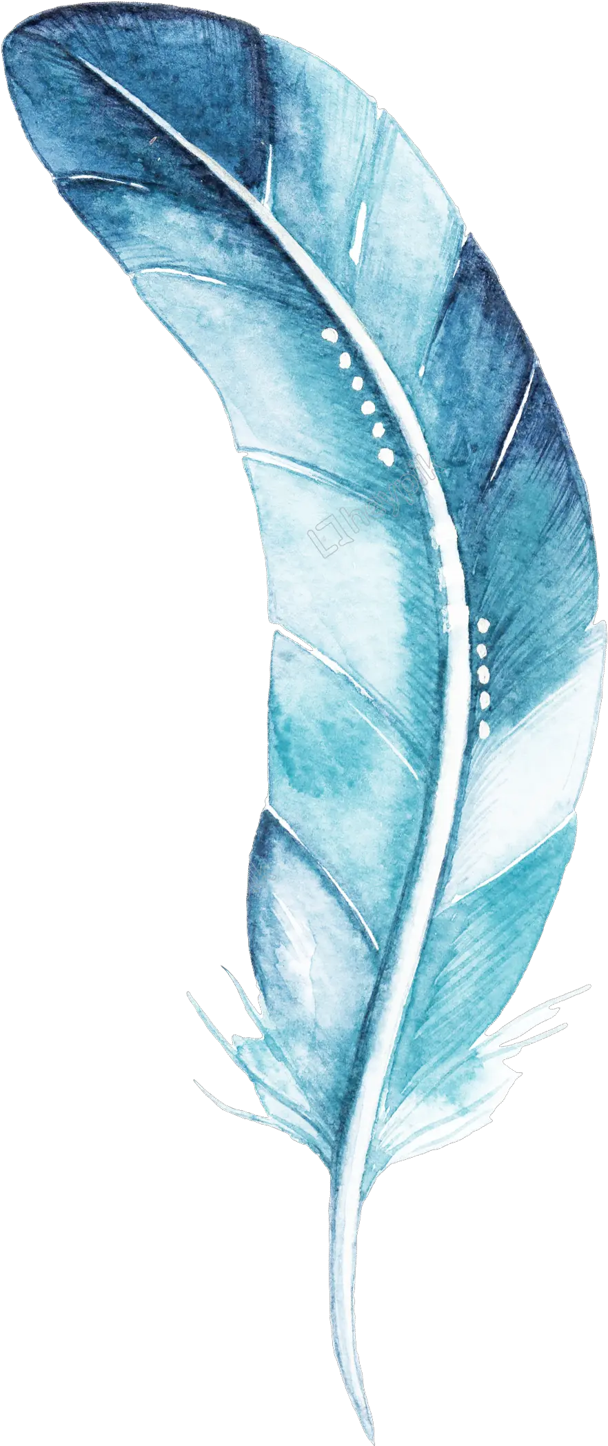  Blue Feather Cartoon Watercolor Beautiful Transparent Blue Watercolor Feather Png Feather Transparent