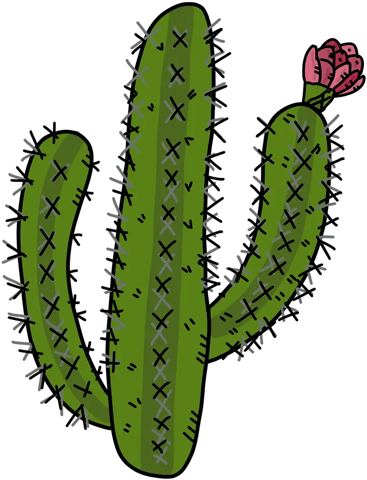  Cactus Desert Plants Rose Imagenes De Un Captu Png Desert Plant Png