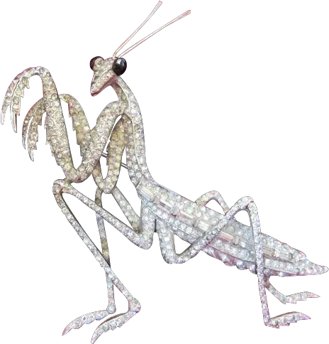  Marcel Boucher Rhinestone Praying Mantis Brooch Pin C1941 Parasitism Png Praying Mantis Png