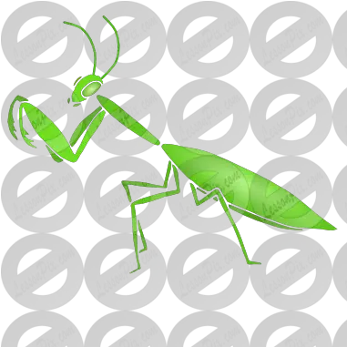  Praying Mantis Stencil For Classroom Therapy Use Great European Mantis Png Praying Mantis Png