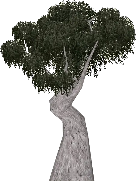  Download Free Png Snow Gum Tree Tamara Henson Zt2 Tree Snow Tree Png