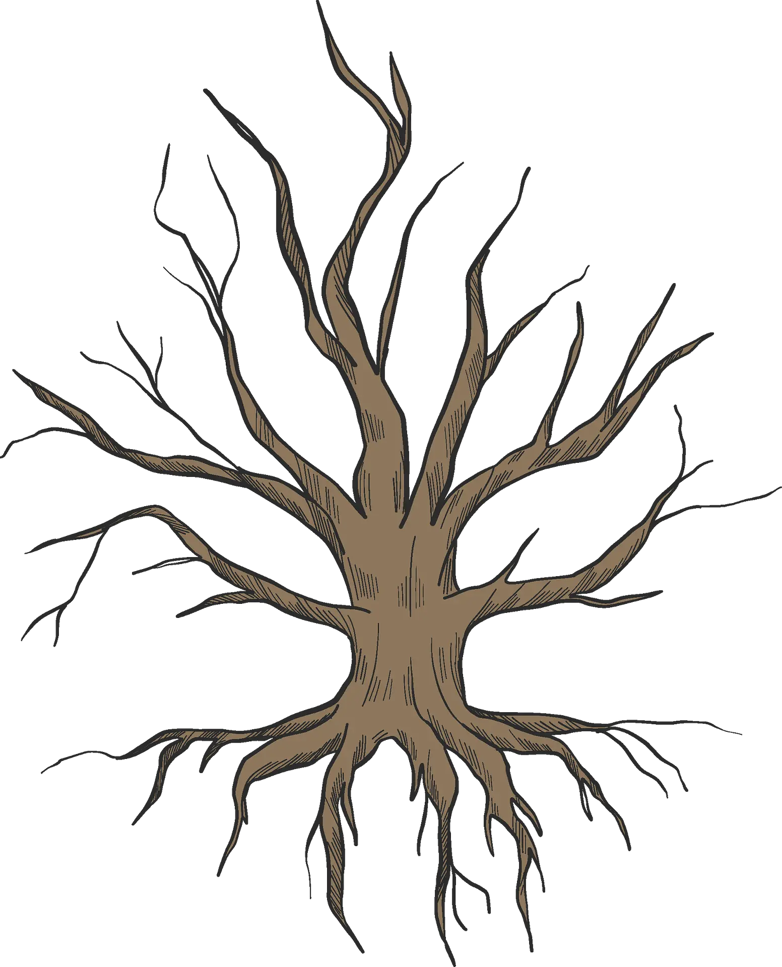  Dried Clipart Roots Png Roots Png