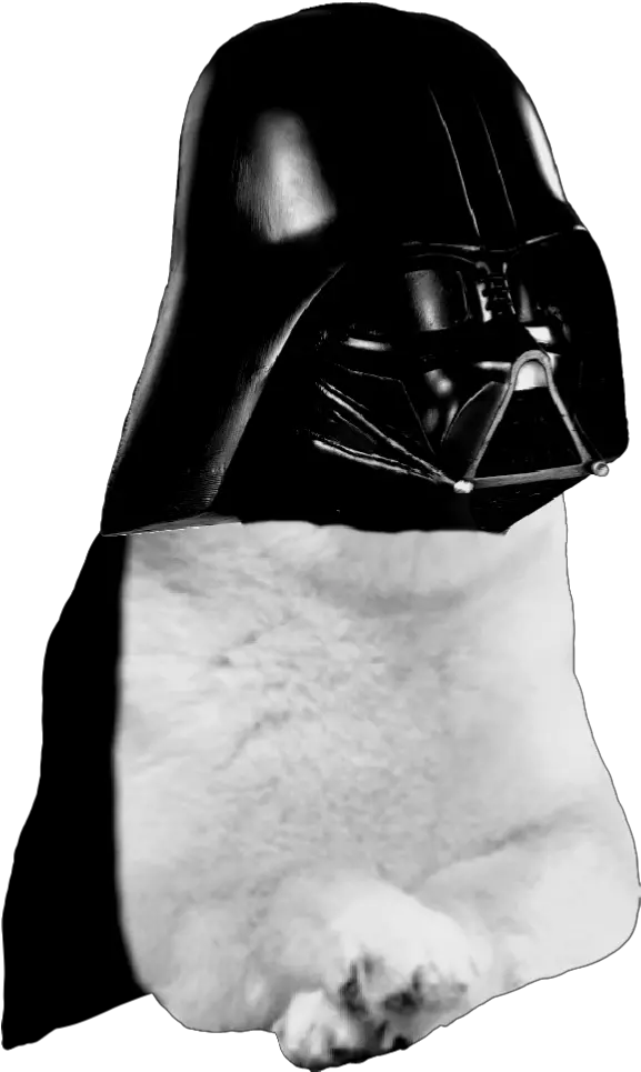  Dogelore Mascara De Darth Vader Png Vader Png