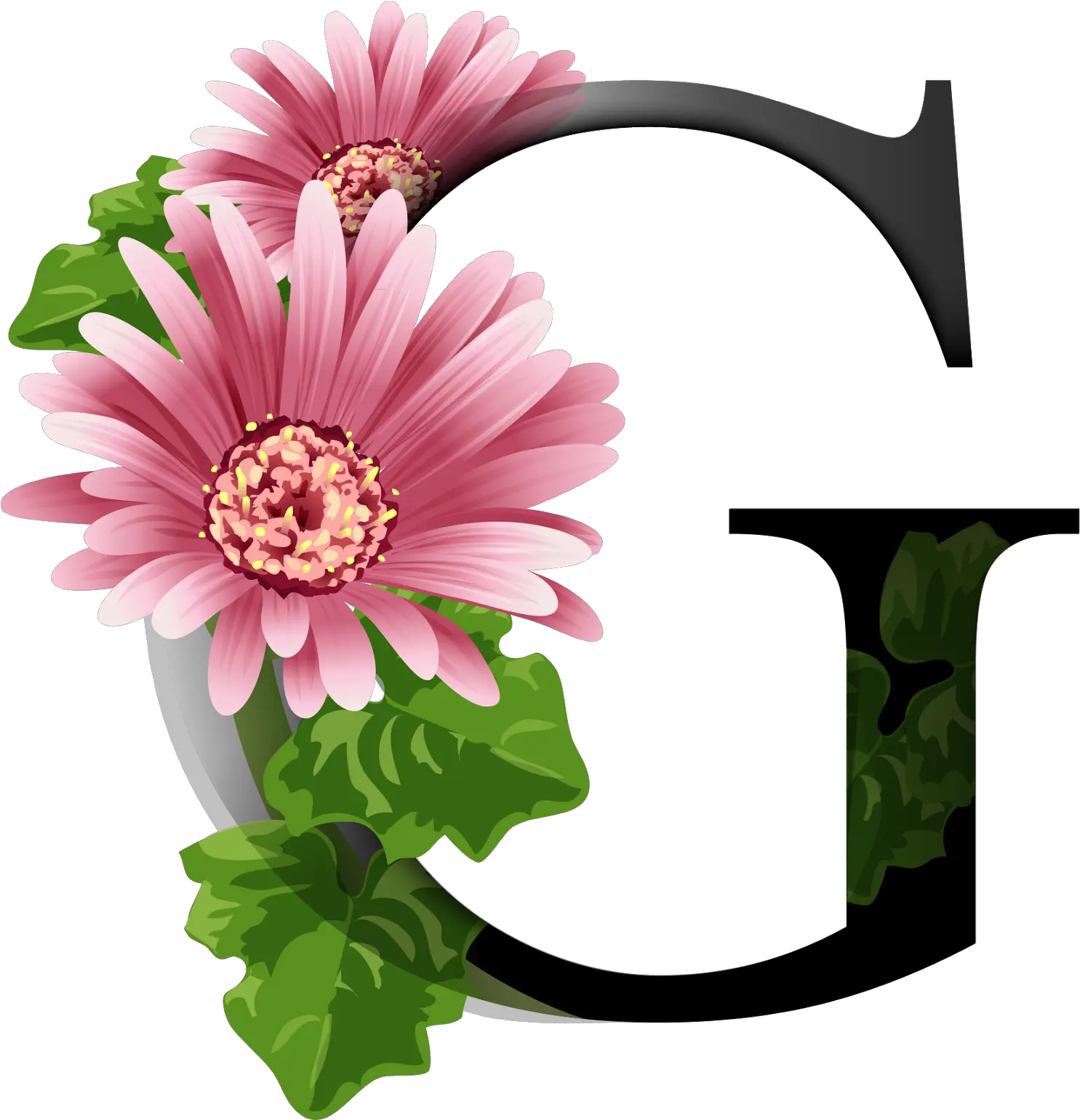  Download Alfabeto Decorativo Flores Png Dignity Of People Flores Png