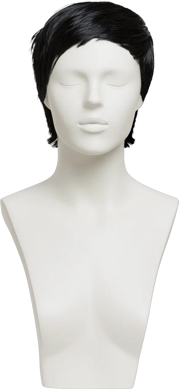  Mannequin Head Png Hair Design Mannequin Head Png