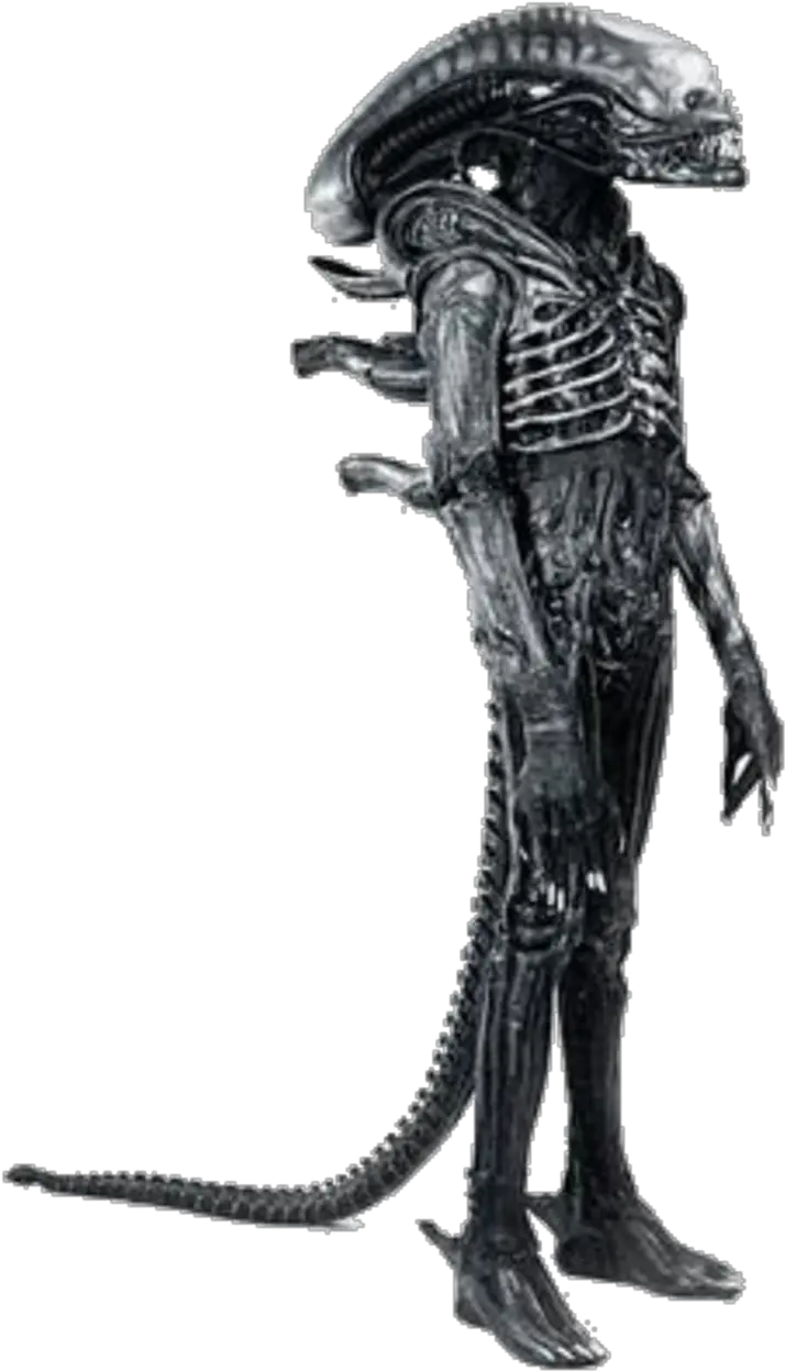  Xenomorph Guy Who Played Xenomorph Png Xenomorph Png