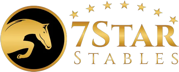  7 Star Stables Stallion Png Star Stable Logo