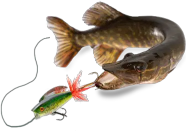  Lure Png And Vectors For Free Download Pike Png Fishing Lure Png